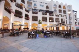 mangroves peppermill dhabi